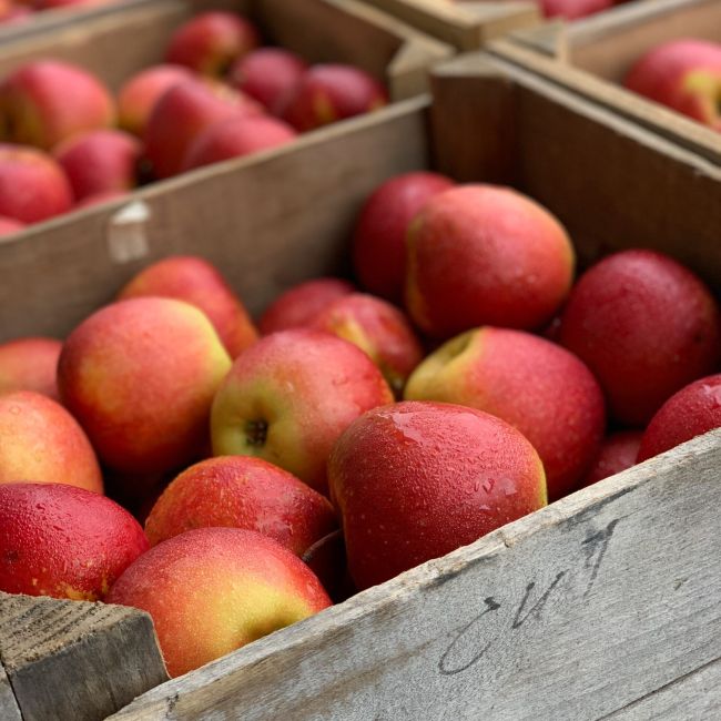 Fête de la pomme du 15 au 17 Avril